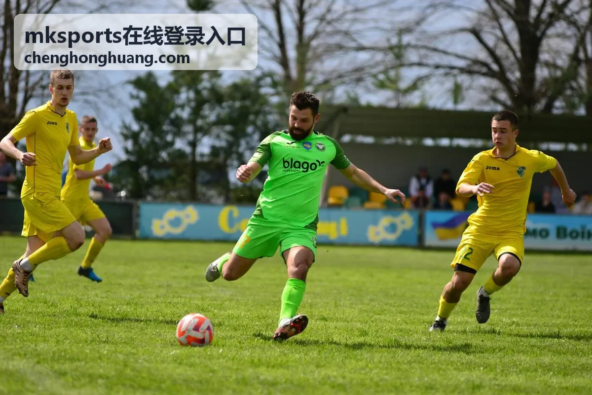 mksports在线登录入口 登录入口指引