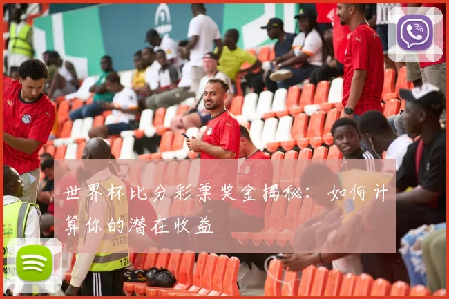 世界杯比分彩票奖金揭秘：如何计算你的潜在收益