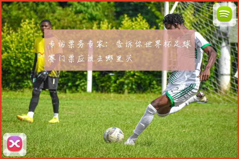 专访票务专家：告诉你世界杯足球赛门票应该去哪里买