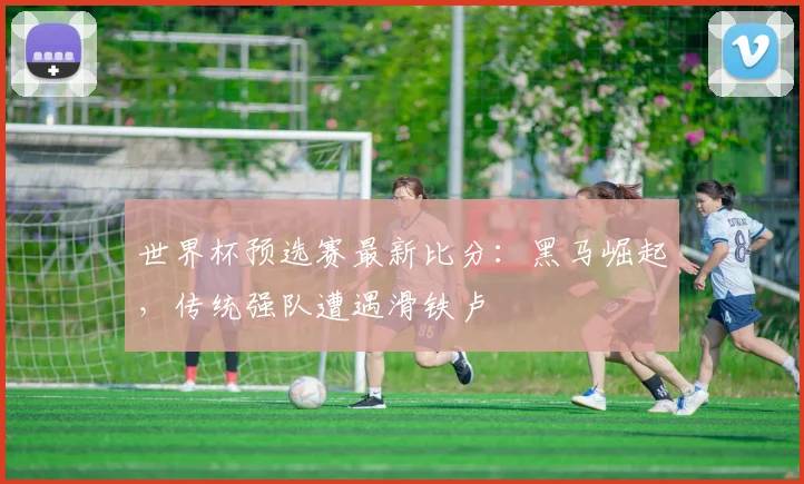 世界杯预选赛最新比分：黑马崛起，传统强队遭遇滑铁卢