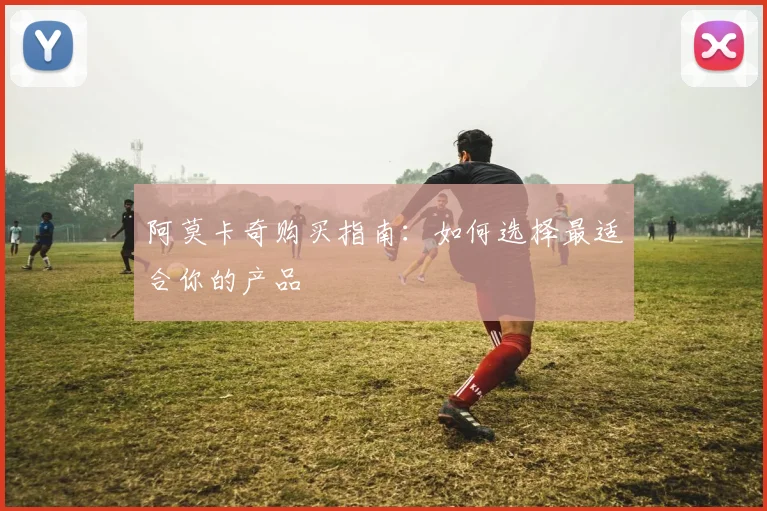 阿莫卡奇购买指南：如何选择最适合你的产品
