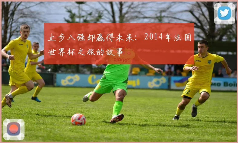止步八强却赢得未来：2014年法国世界杯之旅的故事