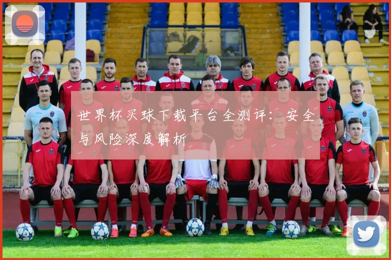 世界杯买球下载平台全测评：安全与风险深度解析