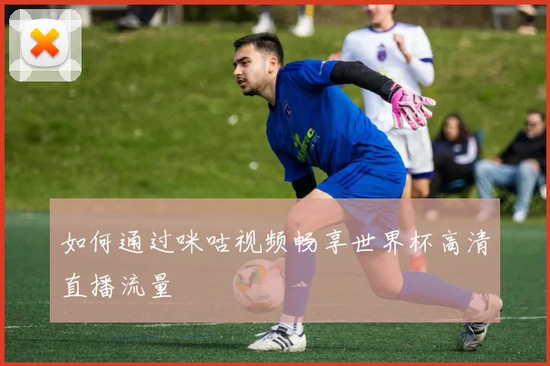 如何通过咪咕视频畅享世界杯高清直播流量